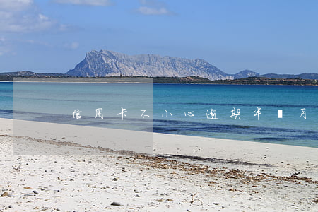 信用卡不小心逾期半個月(信用卡逾期半年)