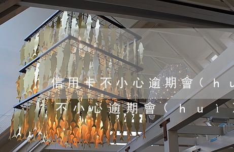 信用卡不小心逾期會(huì)怎樣(信用卡不小心逾期會(huì)怎樣處理)