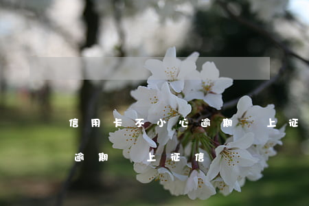 信用卡不小心逾期會上征信嗎（信用卡不小心逾期會上征信嗎）