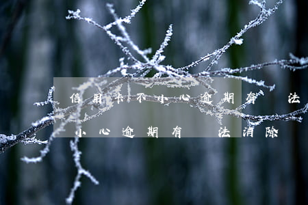 信用卡不小心逾期有辦法消除嗎-信用卡不小心逾期有辦法消除嗎怎么辦