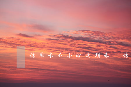 信用卡不小心逾期未還(信用卡不小心逾期未還)