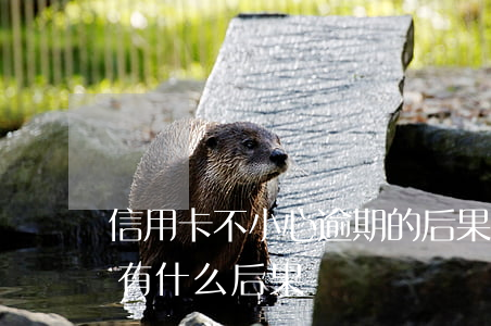信用卡不小心逾期的后果(信用卡總是逾期會有什么后果)