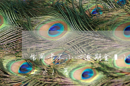 信用卡不小心逾期金額小(信用卡 逾期 一個(gè)月)