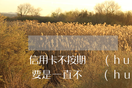 信用卡不按期還會(huì)怎么辦(信用卡要是一直不還會(huì)怎么樣)
