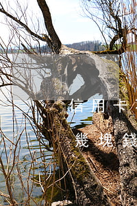 信用卡不明支出五塊導(dǎo)致逾期了(幾塊錢信用卡逾期)