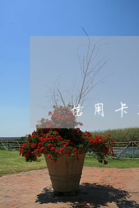 信用卡不是惡性逾期