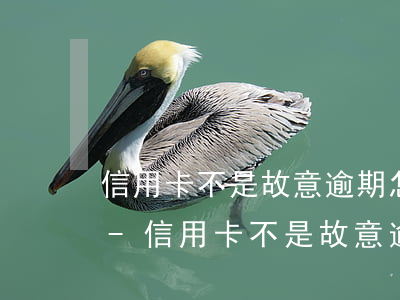 信用卡不是故意逾期怎么辦會走司法程序嗎-信用卡不是故意逾期怎么辦會走司法程序嗎