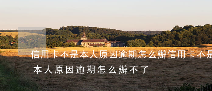 信用卡不是本人原因逾期怎么辦(信用卡不是本人原因逾期怎么辦不了)