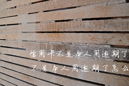 信用卡不是本人用逾期了怎么處理-信用卡不是本人用逾期了怎么處理呢