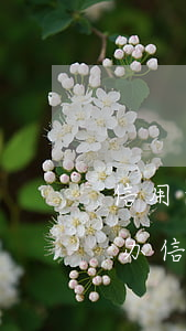 信用卡不是自己办的造成逾期(当前有逾期能办信用卡吗)