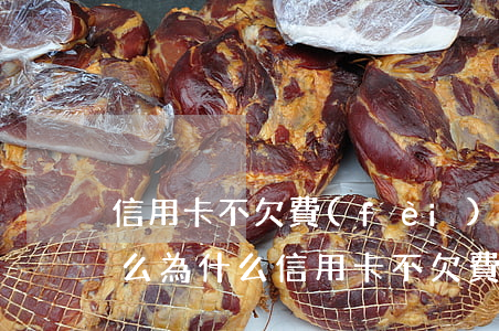信用卡不欠費(fèi)會(huì)逾期么(為什么信用卡不欠費(fèi)還能還款)