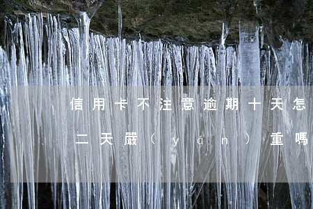 信用卡不注意逾期十天怎么辦(信用卡逾期十二天嚴(yán)重嗎)