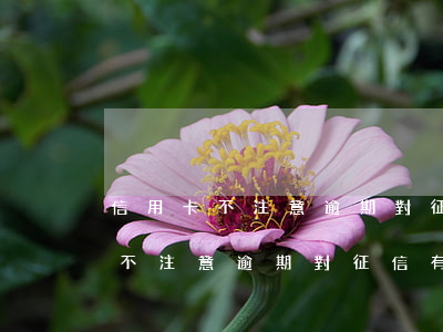 信用卡不注意逾期對征信有問題嗎-信用卡不注意逾期對征信有問題嗎怎么辦