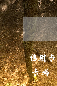 信用卡不激活就逾期了(有逾期可以激活信用卡吗)