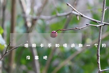 信用卡不知情逾期一个月(信用卡逾期一个月没事吧)