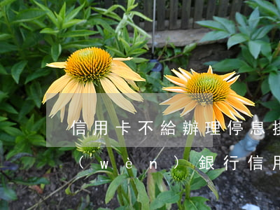 信用卡不給辦理停息掛賬(請(qǐng)問(wèn)銀行信用卡還不了可以停息掛賬不)
