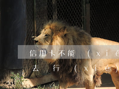 信用卡不能協(xié)商怎么辦(欠信用卡去銀行協(xié)商如果協(xié)商不下來會(huì)扣人嗎)