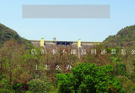 信用卡不能及时还款怎么办(信用卡按期还不上怎么办)