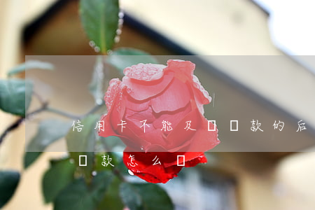 信用卡不能及時還款的后果(信用卡不能按時還款怎么辦)