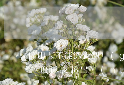 信用卡不能透支超過(guò)額度(信用卡額度透支超出會(huì)怎么樣)