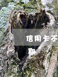 信用卡不能逾期多少-什么情況算信用卡逾期
