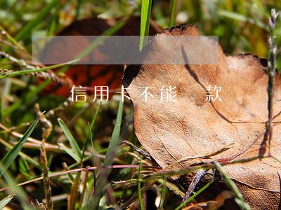 信用卡不能還款