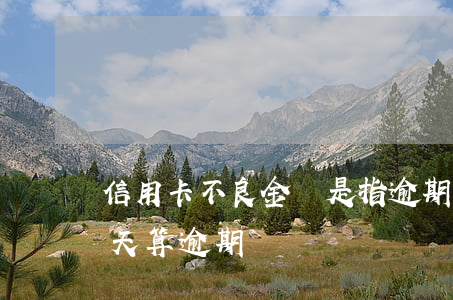 信用卡不良金額是指逾期幾個月 信用超過幾天算逾期