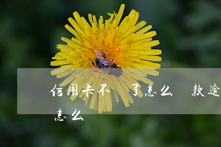 信用卡不見了怎么還款逾期(還信用卡沒到賬怎么辦)