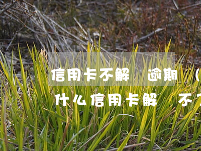 信用卡不解凍逾期會(huì)一直在么 為什么信用卡解凍不了
