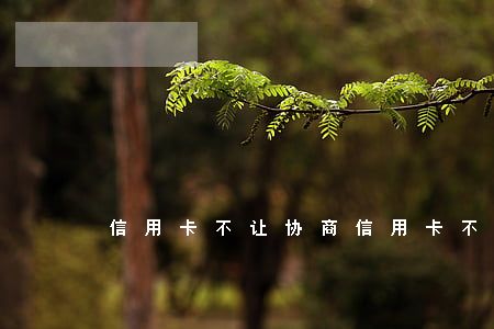 信用卡不让协商(信用卡不让协商延期还款)
