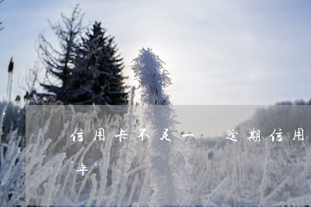 信用卡不足一萬逾期 信用卡5000逾期半年