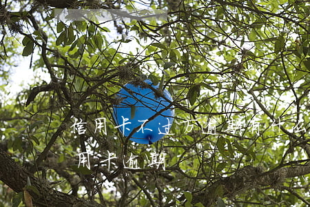 信用卡不过万逾期有什么问题么-几千块信用卡逾期