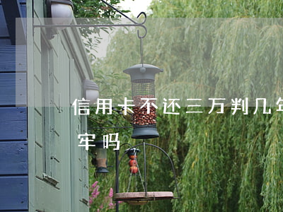 信用卡不还三万判几年(信用卡3万不还会坐牢吗)