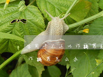 信用卡不还以诈骗罪起诉(被银行起诉信用卡诈骗罪怎么办)