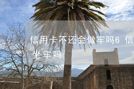 信用卡不还会做牢吗6(信用卡逾期还不上会坐牢吗)