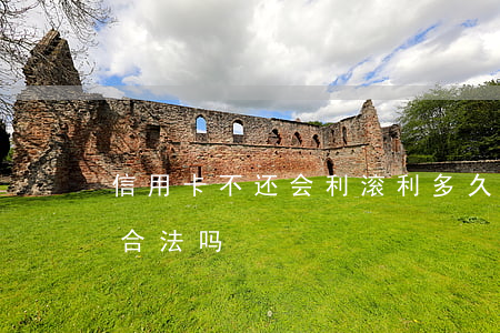 信用卡不还会利滚利多久(信用卡利息利滚利合法吗)