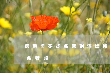 信用卡不还会告到派出所吗(欠信用卡派出所会管吗)