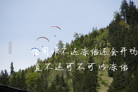 信用卡不还冻结还会开吗(信用卡朋友在用一直不还可不可以冻结)