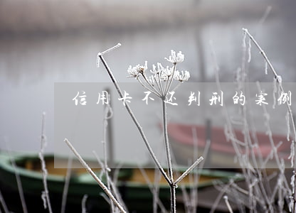 信用卡不还判刑的案例(信用卡逾期判刑案例)