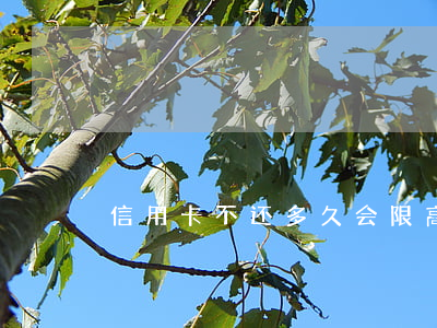 信用卡不还多久会限高(信用卡欠多少会限高)