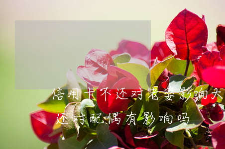 信用卡不还对老婆影响大吗(丈夫的信用卡不还对配偶有影响吗)
