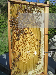 信用卡不还掉能贷款吗