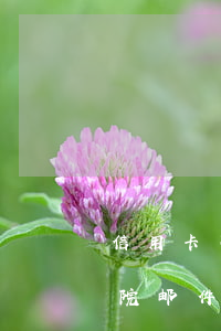 信用卡不还收到诉讼急件(信用卡逾期 收到法院邮件)