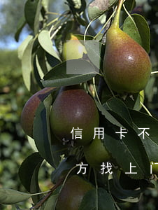 信用卡不还款会上门找人吗(欠信用卡被第三方找上门)