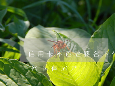 信用卡不还老婆名下有房产(信用卡不还老婆名下有房产)