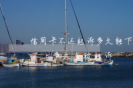 信用卡不还起诉多久能下来(欠银行信用卡还不上多久会被起诉)
