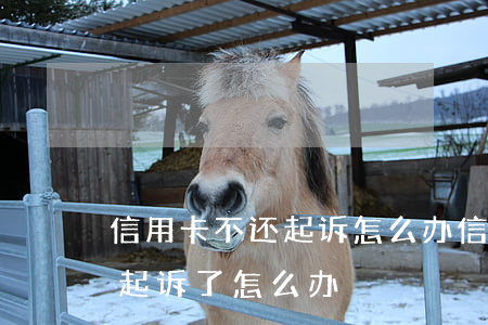 信用卡不还起诉怎么办(信用卡还不起被银行起诉了怎么办)