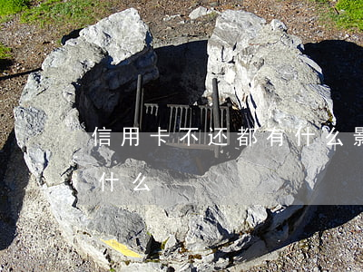 信用卡不还都有什么影响(信用卡不还后果是什么)