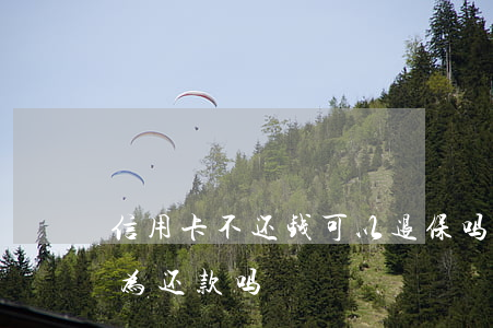 信用卡不还钱可以退保吗(信用卡退款可以作为还款吗)