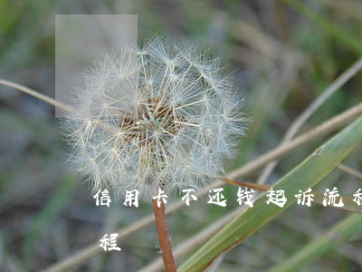 信用卡不还钱起诉流程(信用卡不还钱起诉流程)